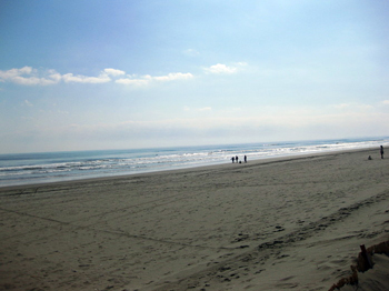 20150330_003.jpg