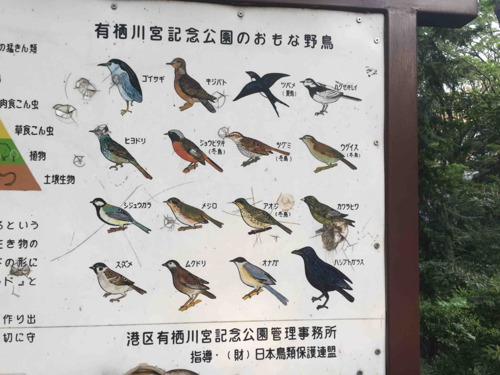 自粛中におうちで対策。小学校受験の絵画