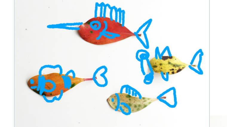 小学校受験絵画練習発展画の魚の絵