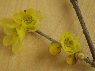 201101121