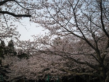 20110412