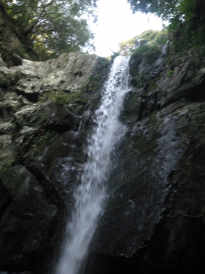 201108094