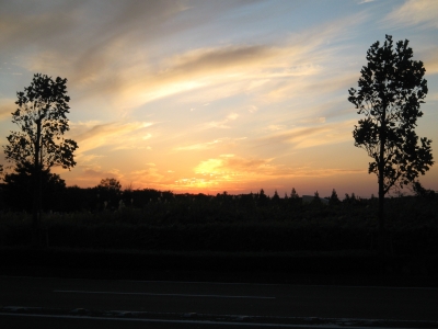 201110282