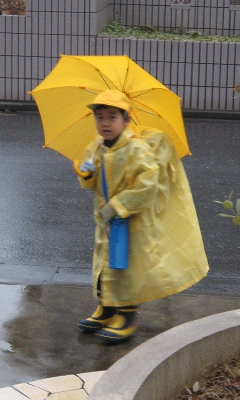 20120306