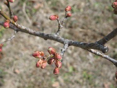 201203202