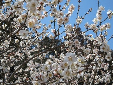 201203203