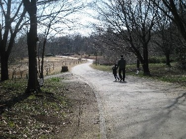 201203204