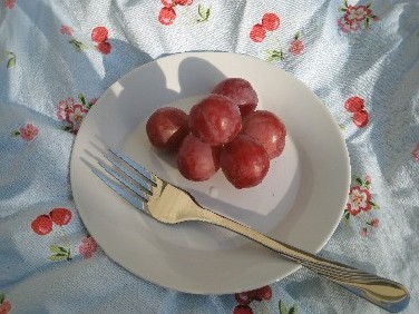 20120402