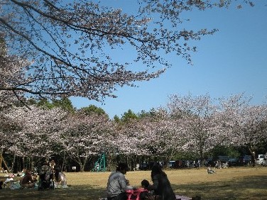 201204091