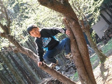 201204092