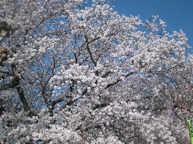 201204122