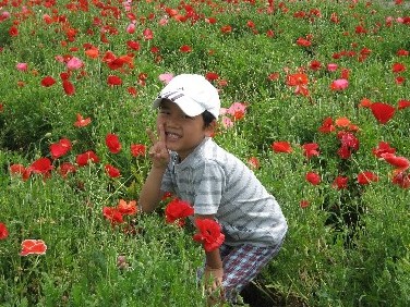 20120602
