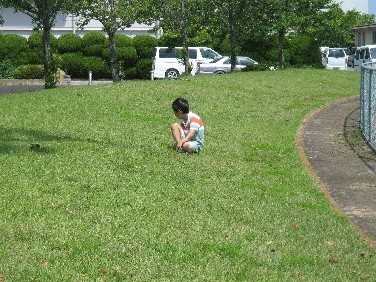 201206242