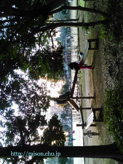 洞峰公園☆ 洞峰公園☆