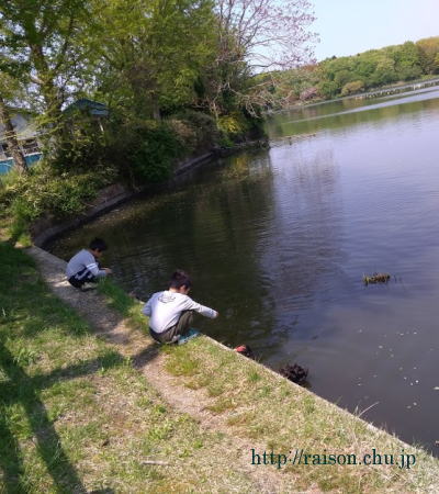ほのぼのと過ごす。 ほのぼのと過ごす。