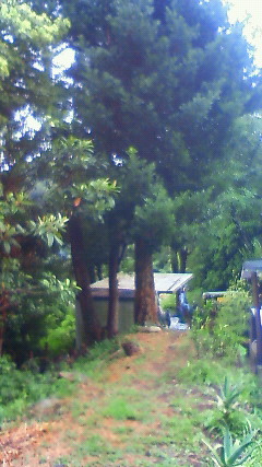 NEC_0817.jpg