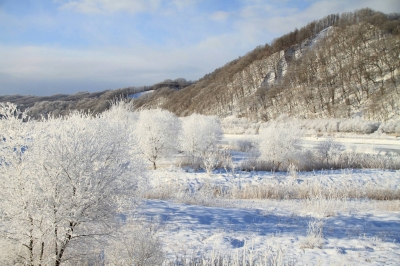 穂別の樹氷3