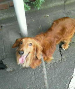 20100621171435.jpg