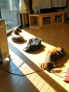 20120106115036.jpg
