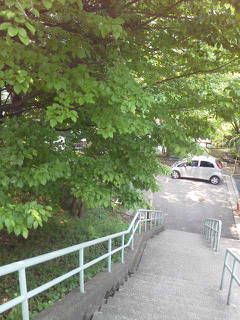 20120510121538.jpg