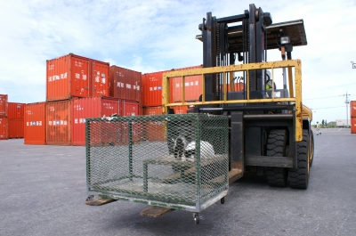 PICT0003.JPG