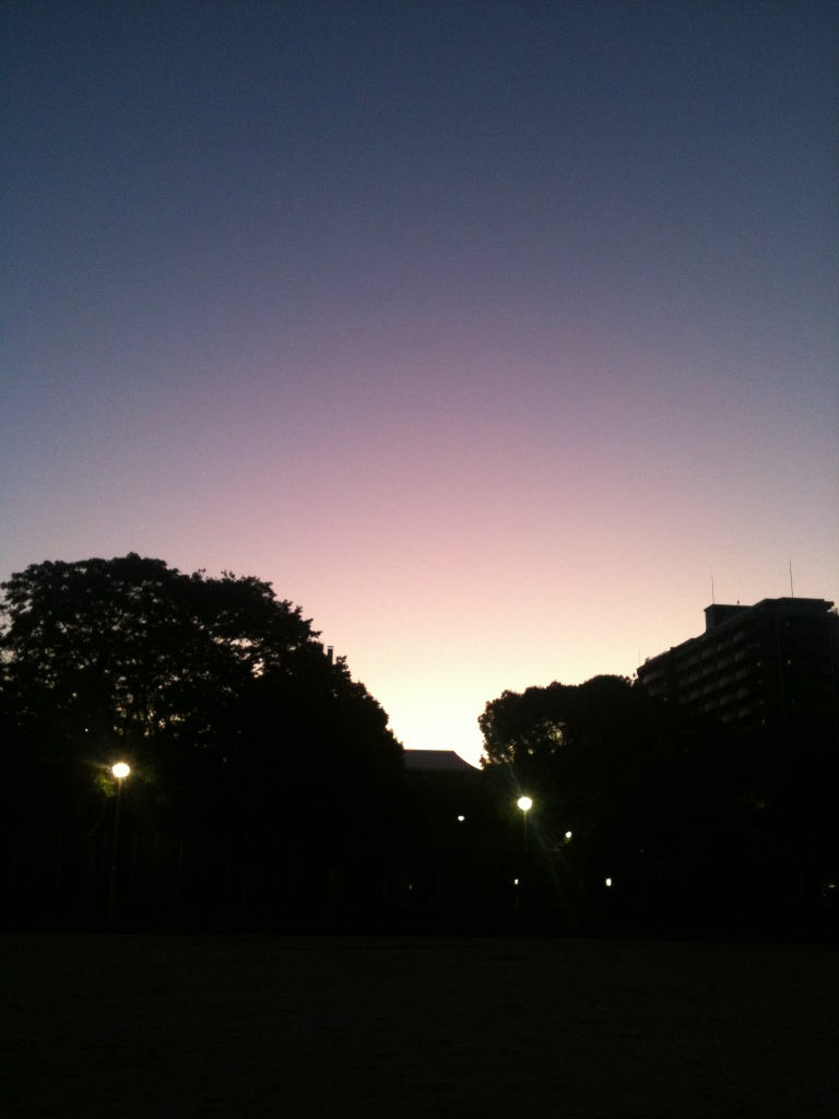 IMG_5345.jpg