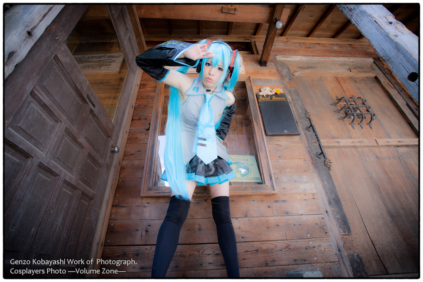 hatsune_miku_11.jpg