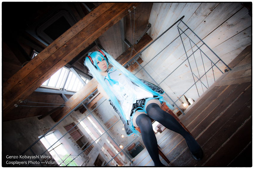 hatsune_miku_17.jpg