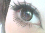 2009091810210000.jpg