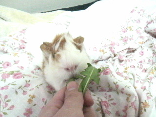 2010030223030000.jpg