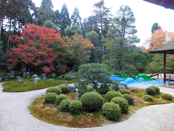 20121114ÒØ¼ì±¡ÌçÀ×2