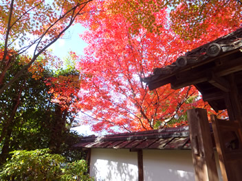 20121114¶âÊ¡»û2
