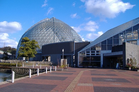 新潟県立植物園 新潟県 温室探索