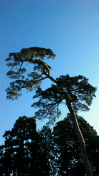 2012040118430000.jpg
