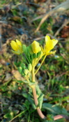 2012040810580000.jpg