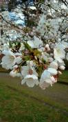 2012042307130000.jpg
