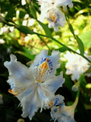 2012051907310000.jpg