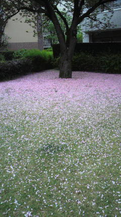 2019042614110000.jpg