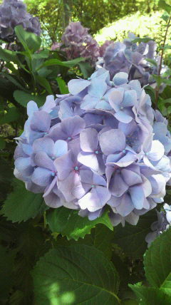 2019061311390001.jpg