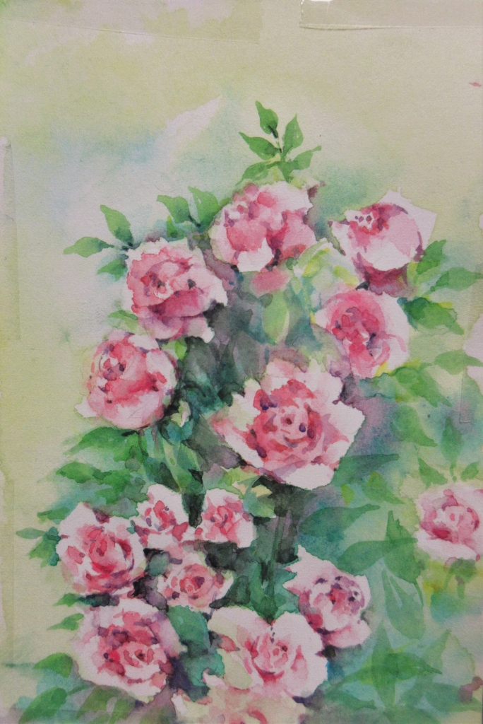 5月のバラ すてきな水彩画ギャラリーginko