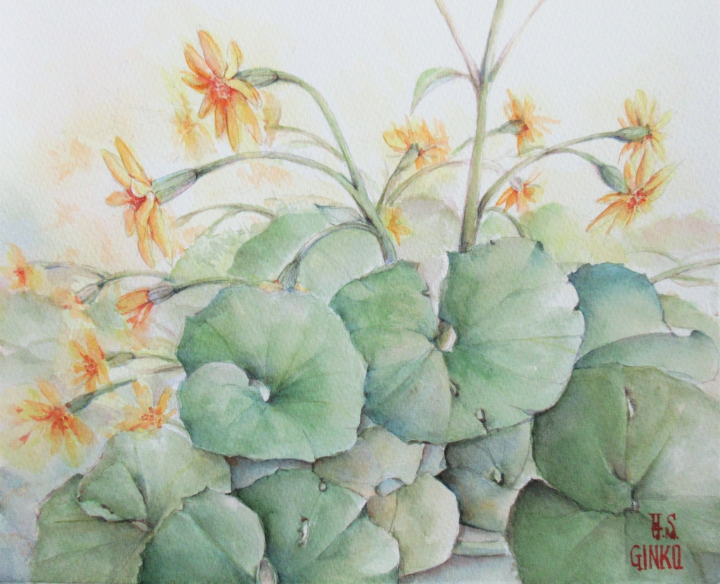絵画 水彩画 ツワブキ 【公式通販】