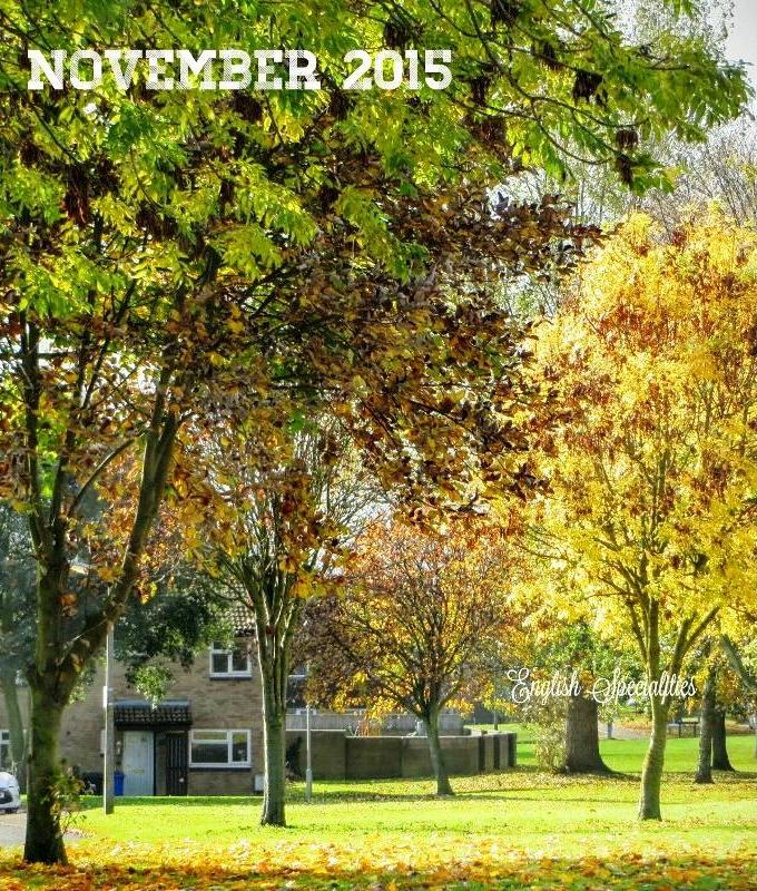 11月
