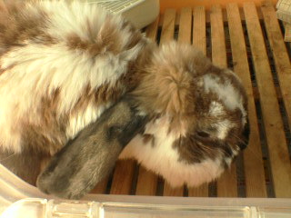 20060304_55793.jpg