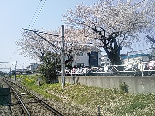 DSC_2069.JPG