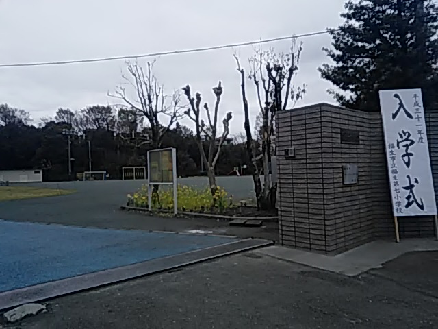 DSC_2111.JPG