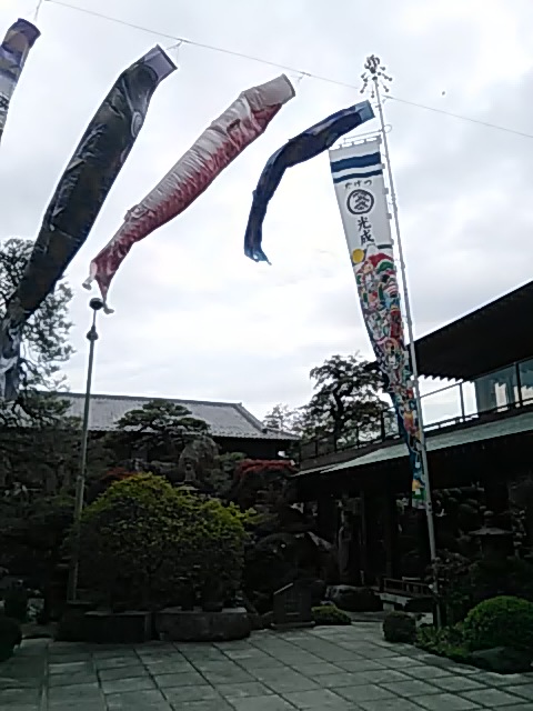 DSC_2227.JPG