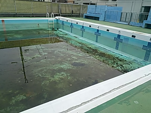 DSC_2660.JPG