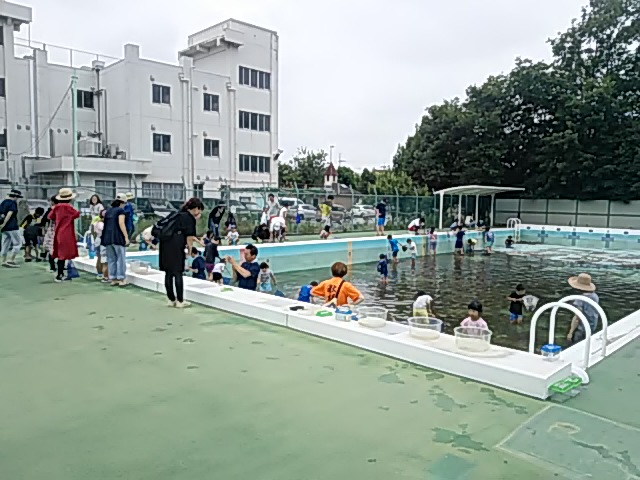 DSC_2663.JPG