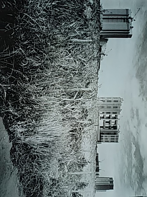 DSC_2224.JPG