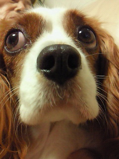 200908131840000.jpg